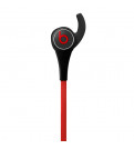 Наушники внутриканальные Beats Tour 2 Black (MKMT2ZE/A)