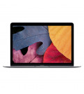 Ноутбук Apple MacBook 12 (Z0SL0003F)