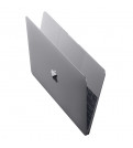 Ноутбук Apple MacBook 12 (Z0SL0003F)