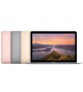Ноутбук Apple MacBook 12 (Z0SL0003F)